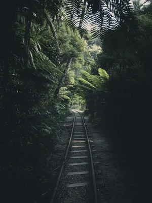火车轨道拍摄图片