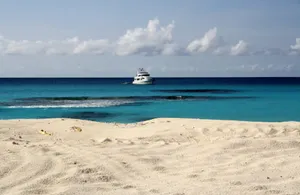 海上大型游艇图片