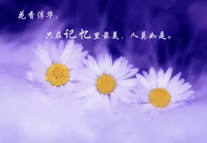带文字的图片说说_1