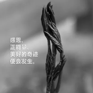 正能量黑白图片第1张