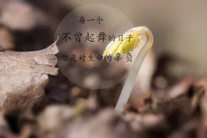 带文字图片