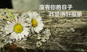 带文字的伤感图片_1