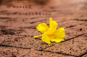 唯美空间文字图片第1张
