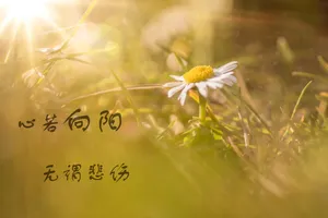 好看的文字图片第1张