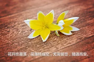 文字壁纸图片_1