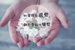 唯美文字控图片_1