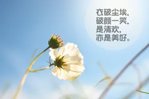 唯美坚强文字图片_1