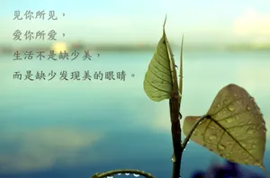 非主流文字控图片_1