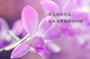 伤感意境文字图片
