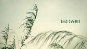 文字图片忧伤_1