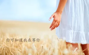 文字控图片_1