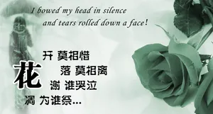 带字的伤感图片