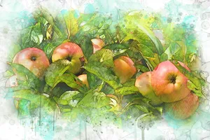 苹果油画图片第1张