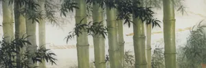 水墨画竹林图片素材