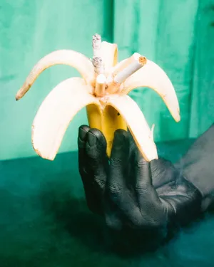 另类香蕉造型图片第1张