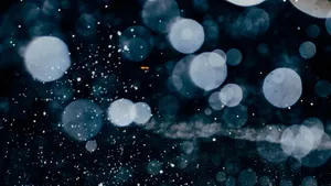下雪夜光斑背景设计图片