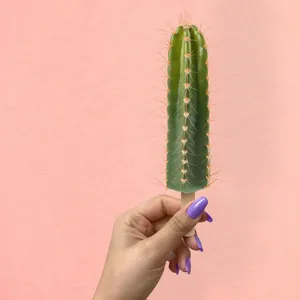 创意仙人球冰棒图片第1张