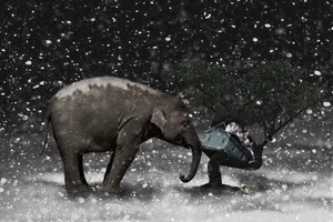 小雪创意设计图片_1