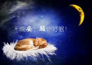 晚安睡觉带字图片第1张