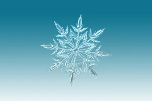 雪花晶片图片_1