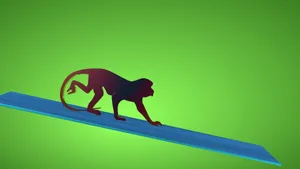 猴子动物剪影设计图片第1张