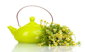 茶壶鲜花高清图片_1