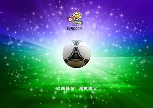 欧洲杯高清图片_1