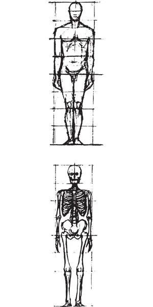 医学人体构造图片第1张