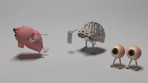 器官模型图片_1