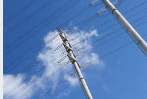 蓝天下整齐电线图片_1