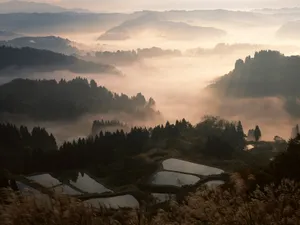 田野麦浪 第三辑_14