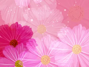 合成花卉 第四辑_3