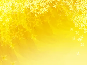 合成花卉 第四辑_6