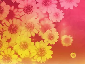 合成花卉 第四辑_7