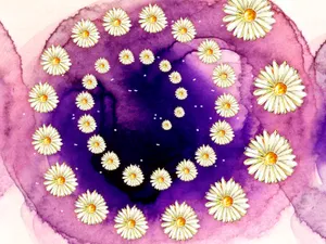 合成花卉 第四辑_11