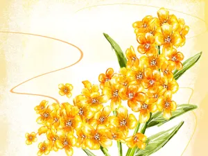 合成花卉 第四辑_18