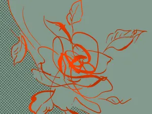 合成花卉 第三辑_6