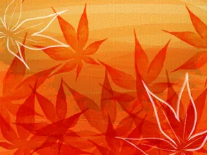 合成花卉 第三辑_15