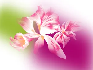 合成花卉 第一辑_6