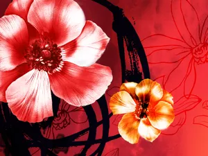 合成花卉 第一辑_10