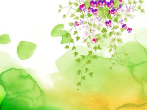 合成花卉 第一辑_14