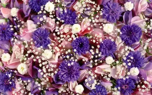 1920花朵背景 第三辑_17