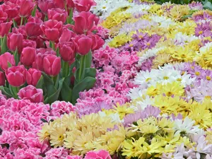 1600花朵背景 第三辑_5
