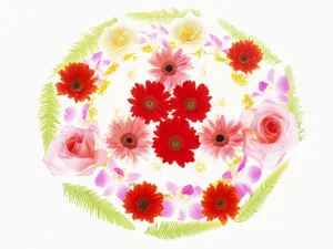 1600花朵背景 第一辑_6