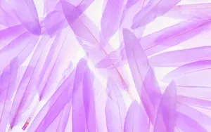 1440花朵背景 第一辑_13