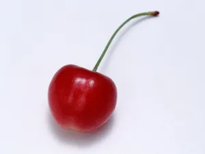 1600水果 第七辑_3