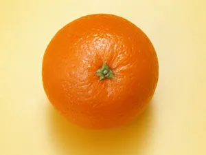 1600水果 第七辑_10