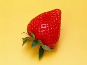 1600水果 第七辑_14