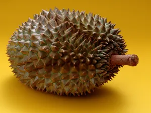 1600水果 第五辑_2