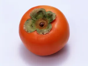 1600水果 第五辑_15